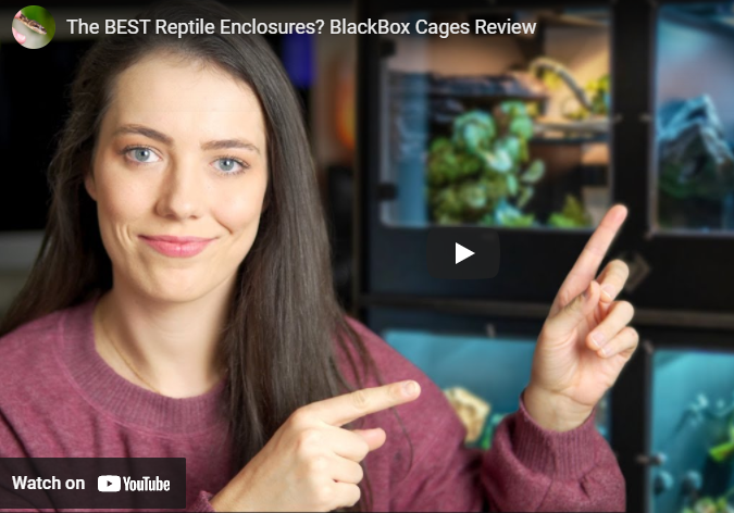 The BEST Reptile Enclosures? BlackBox Cages Review by Girl With Scales - Summer