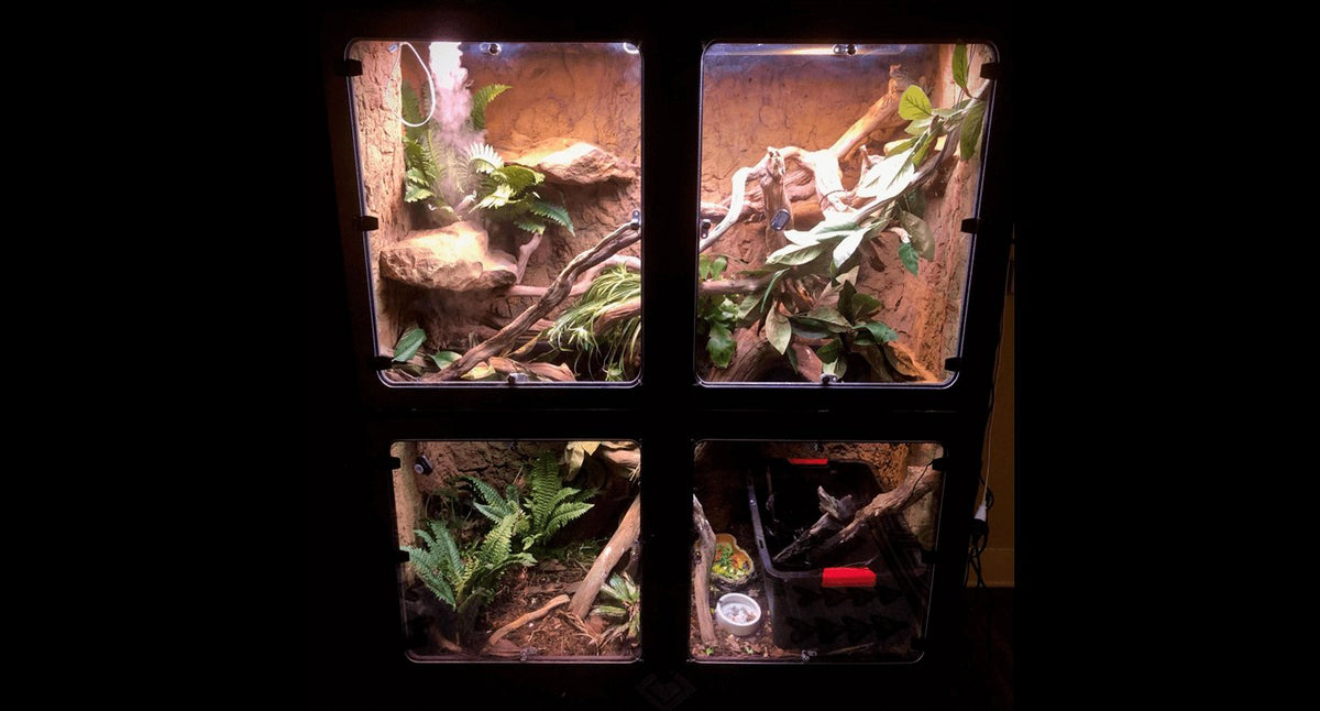 Cages Large Reptiles BlackBox Cages & Rack Systems