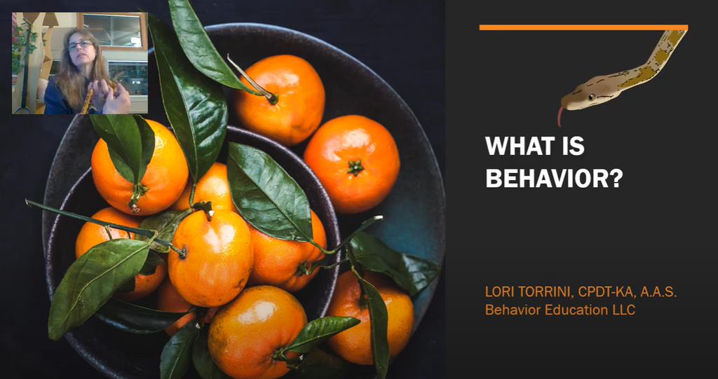 What Behavior Is & Why it Matters!