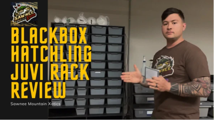 Blackbox Cages Hatchling/Juvenile Snake Rack Review by Sawnee Mountain Xotics