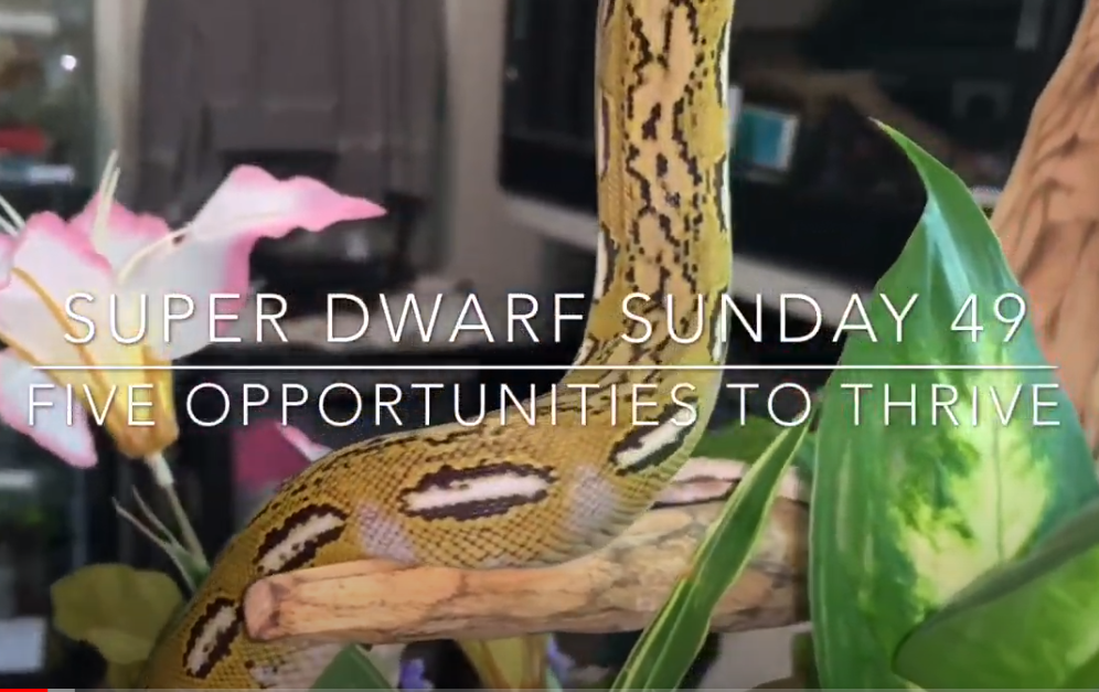 Five Opportunities to Thrive