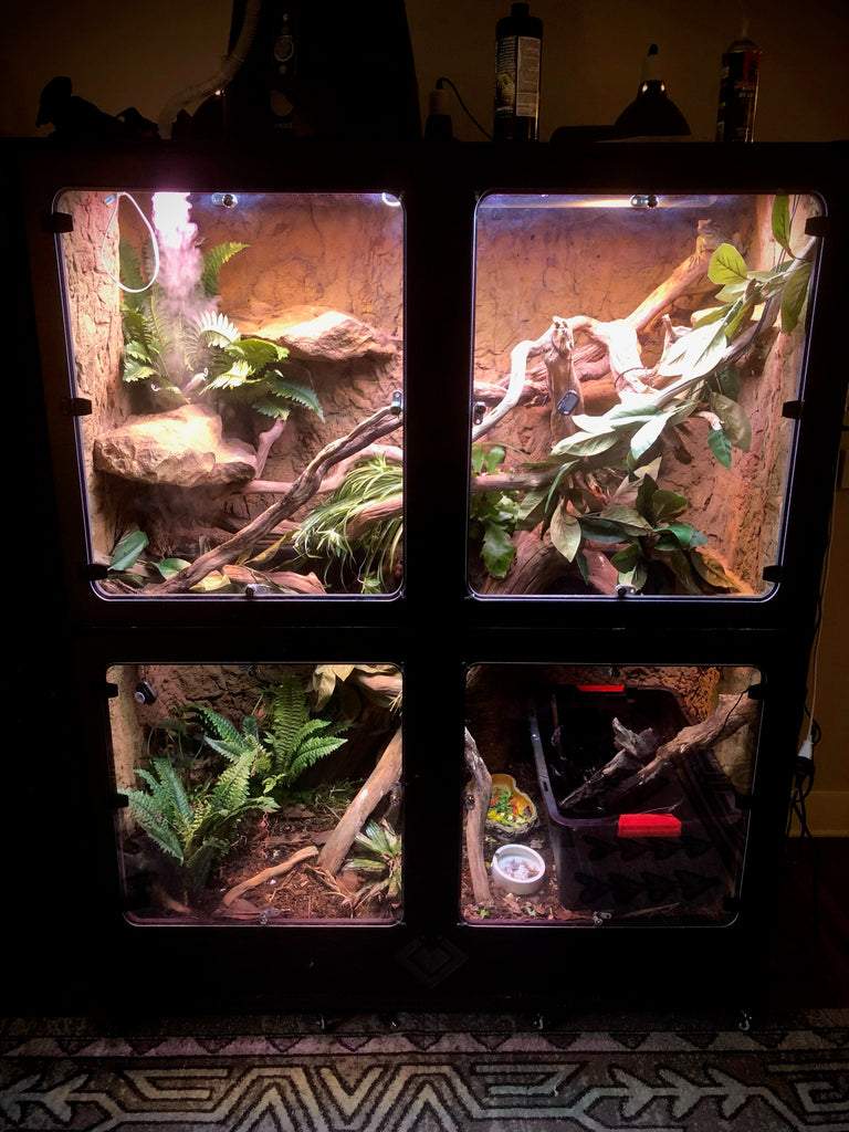 Cages - Large Reptiles