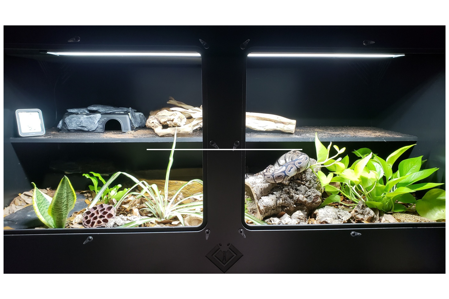 Quality 4' Bioactive PVC Reptile Caging BlackBox Reptile Racks