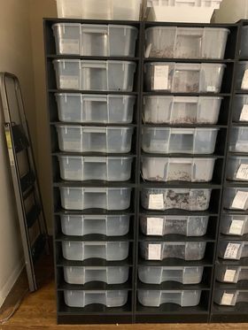 XR-S66 Snake Rack | BlackBox Reptile Racks & Cages β BlackBox Cages ...