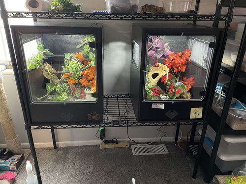 XA BIO-G PVC Reptile Enclosure | BlackBox Reptile Racks & Cages