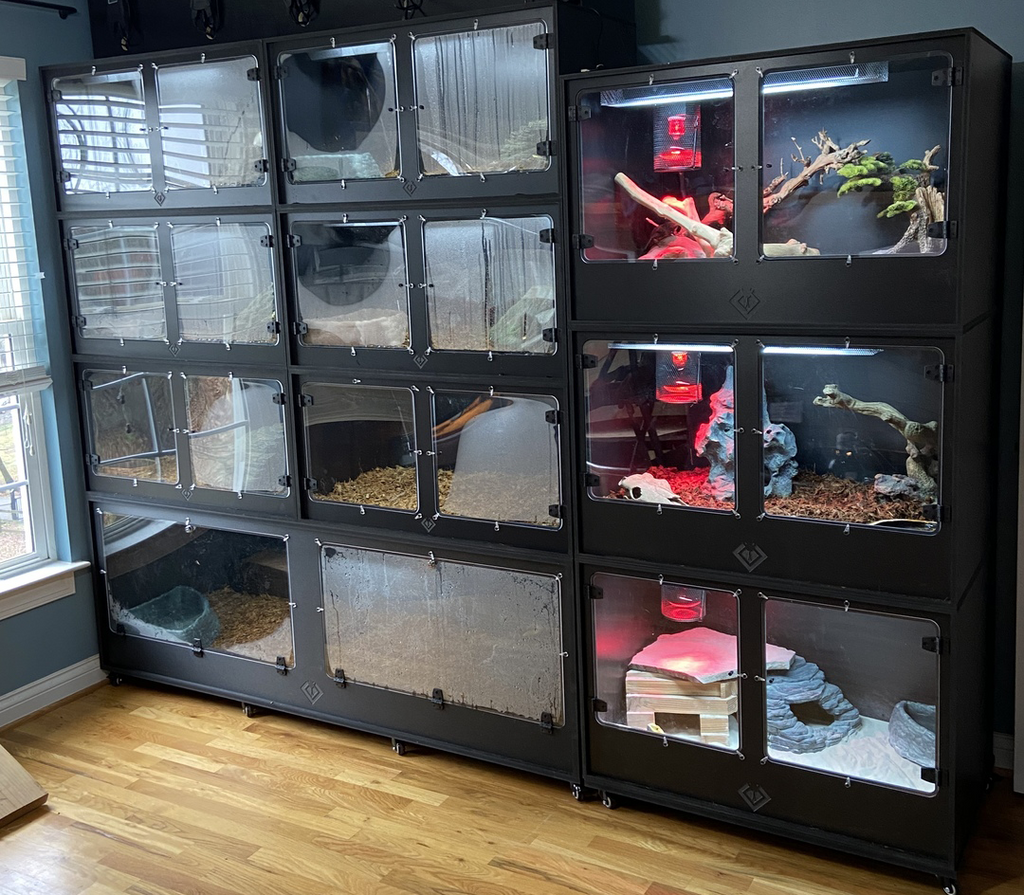 Quality 4' Bioactive PVC Reptile Caging | BlackBox Reptile Racks ...