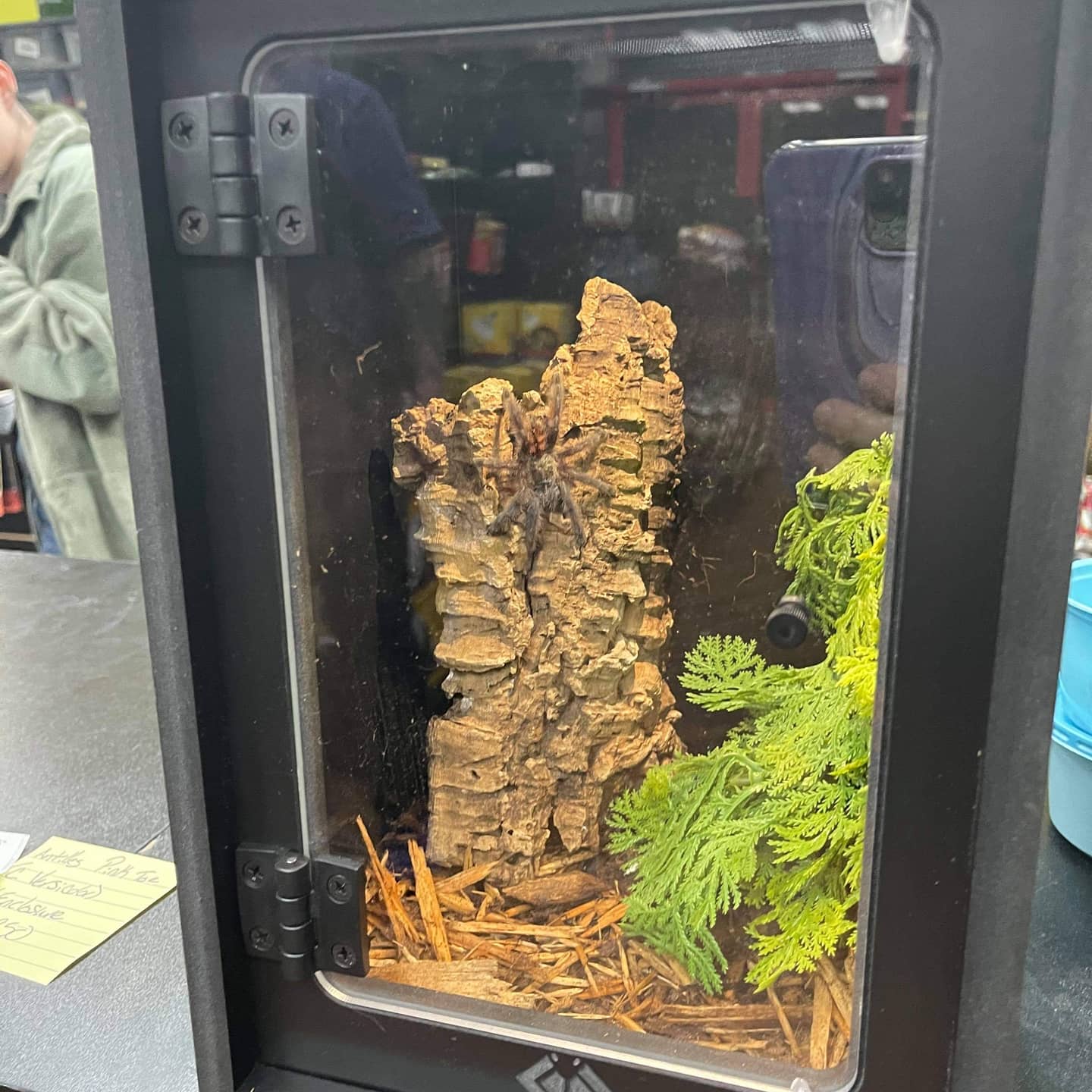 Premium PVC Tarantula Gecko Cage BlackBox Reptile Racks