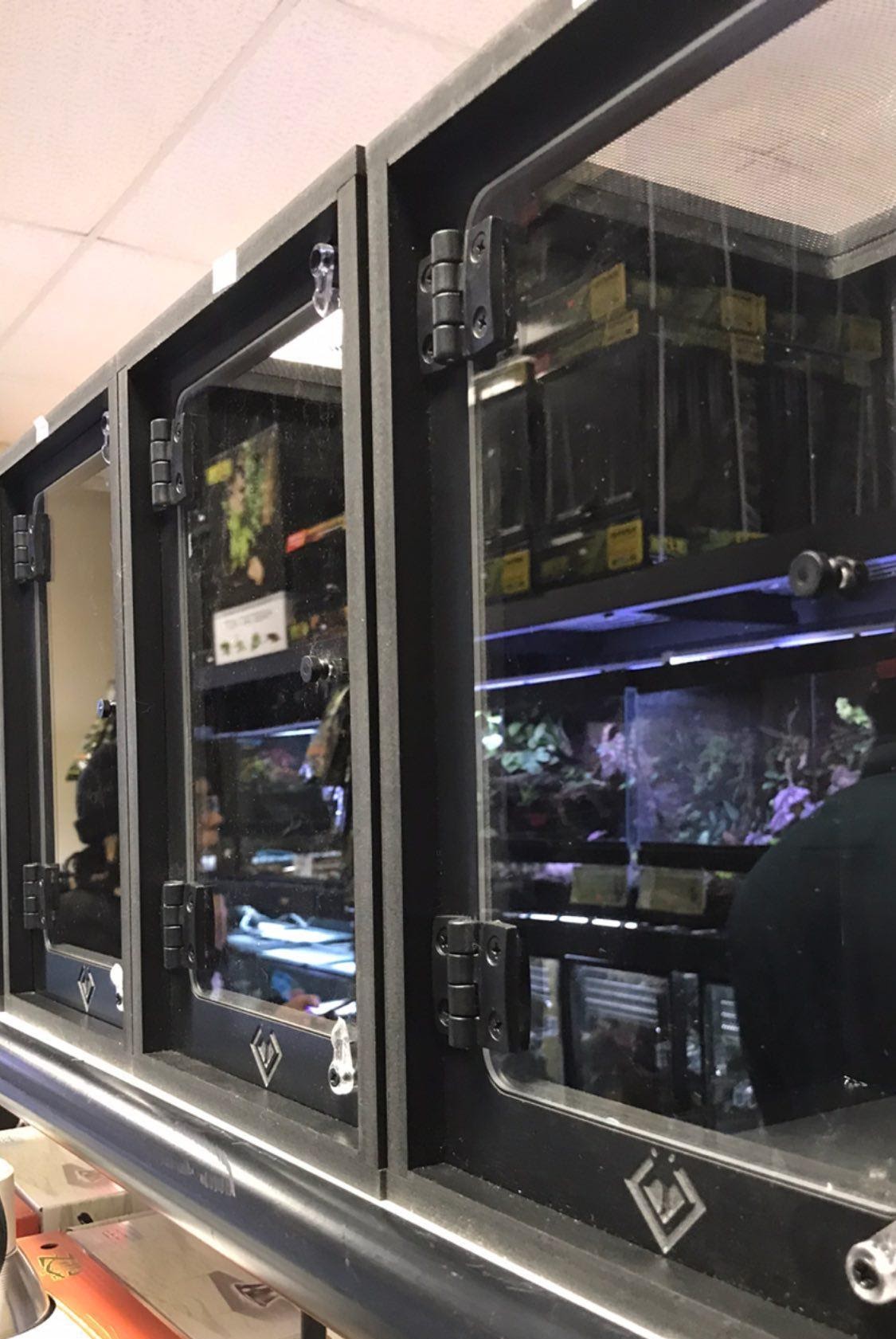 Premium PVC Tarantula & Gecko Cage | BlackBox Reptile Racks & Cages ...