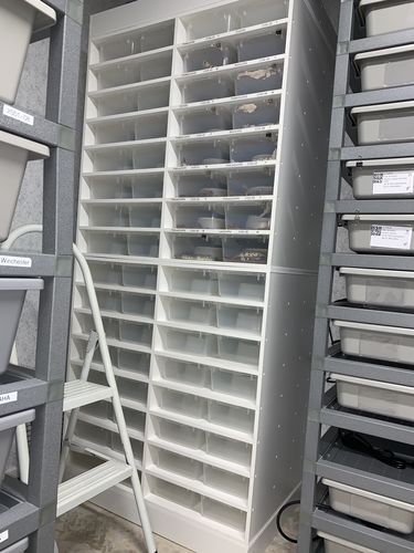 XR16 Hatchling/Juvenile Reptile Rack | BlackBox Reptile Racks & Cages ...