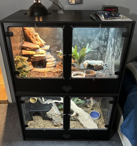 3' Bioactive Top Quality PVC Reptile Enclosures BlackBox Reptile