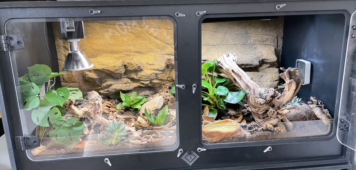 Premium 3' PVC Reptile Enclosure BlackBox Reptile Racks Cages