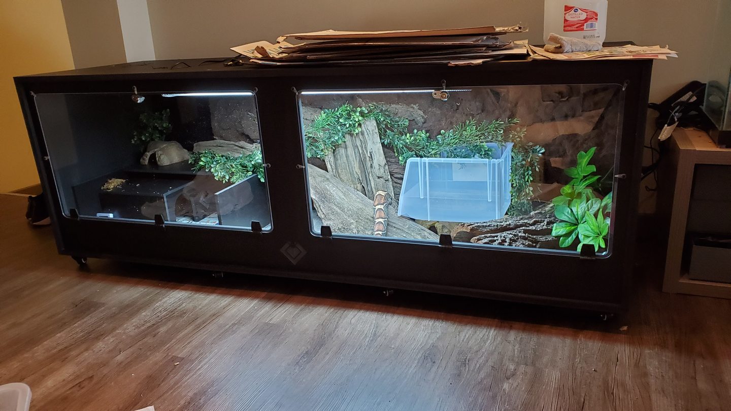 6' PVC Reptile Caging BlackBox Reptile Racks Cages – BlackBox