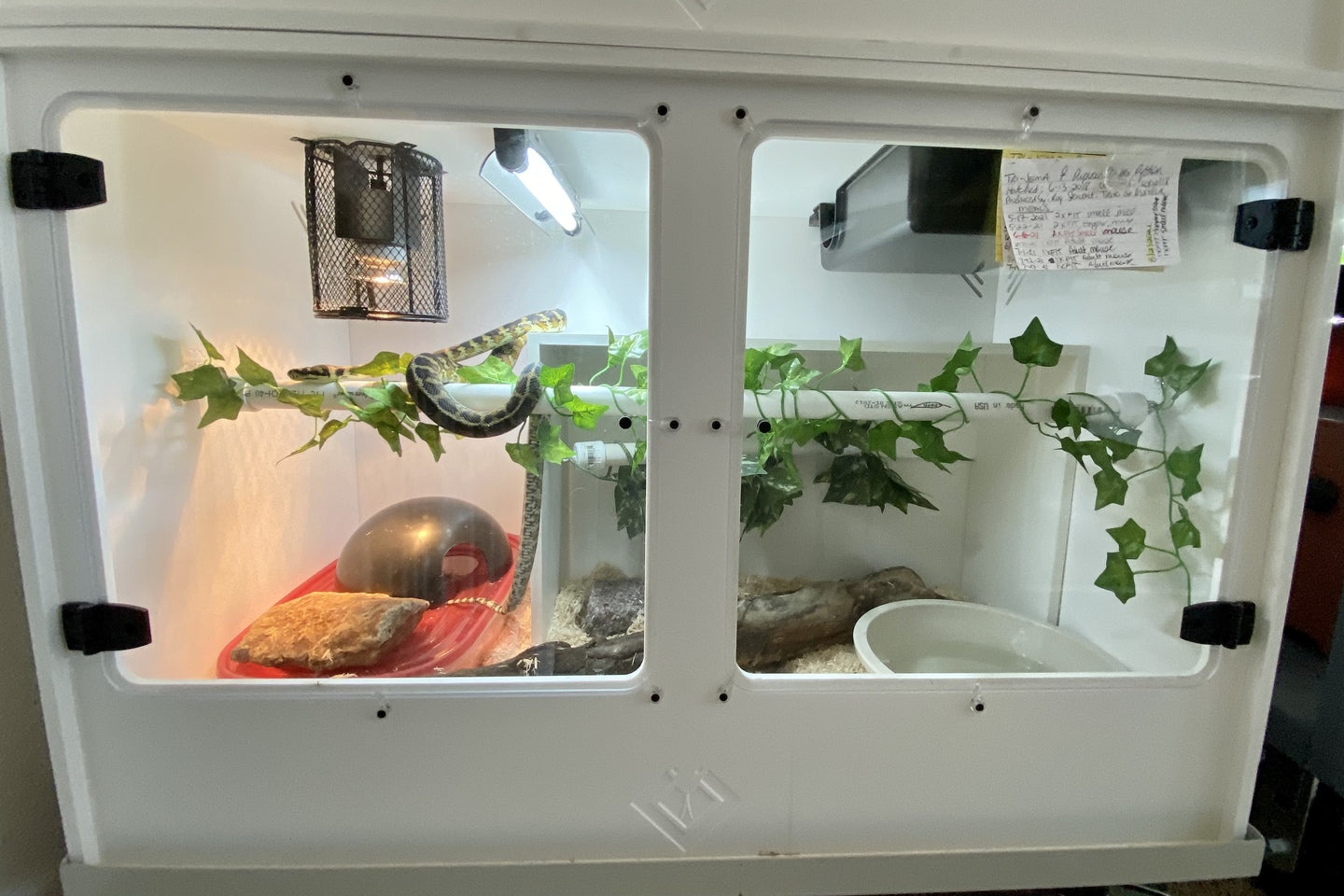 Premium Bioactive PVC Reptile Enclosure Bioactive Ready BlackBox